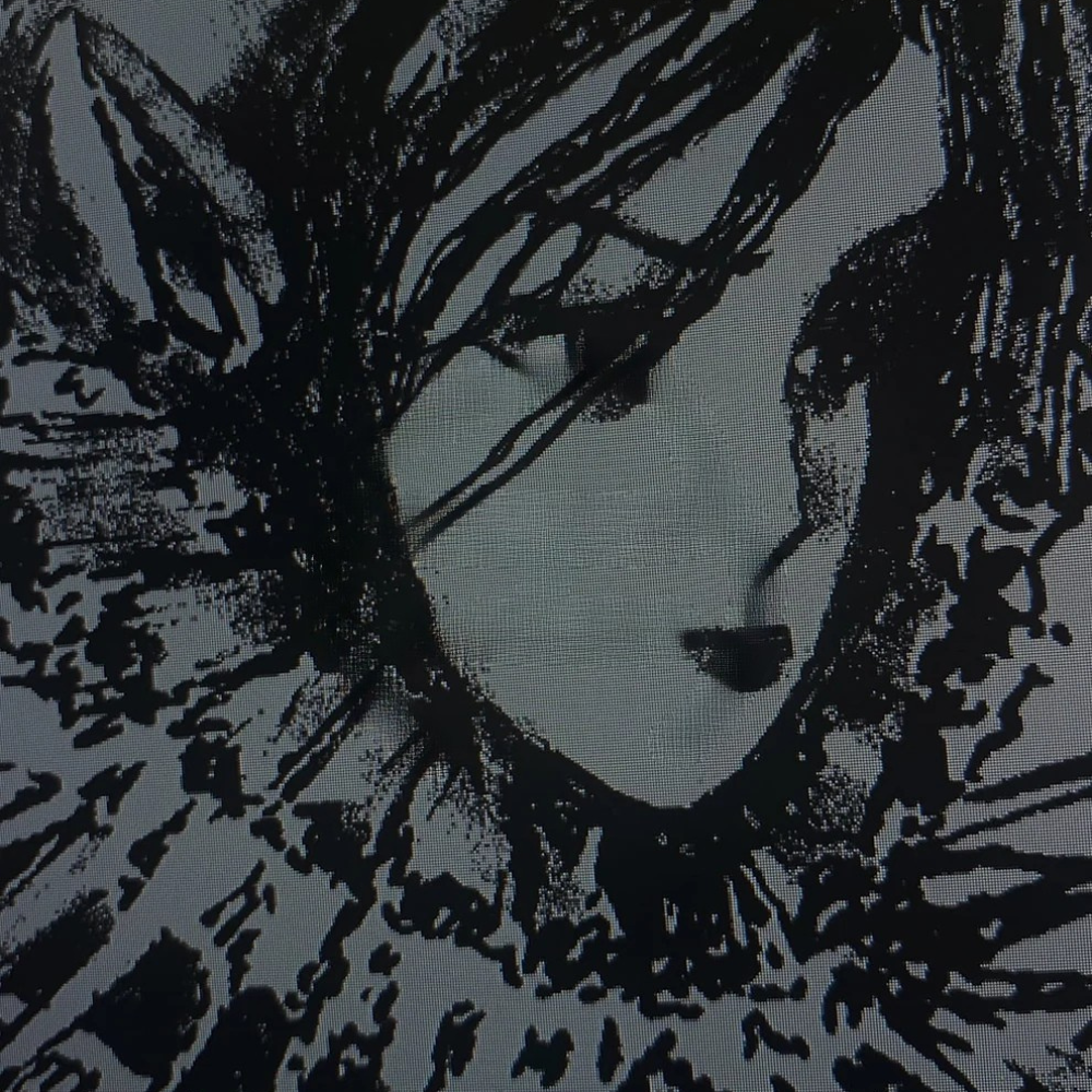 Graphic Hooded Jacket