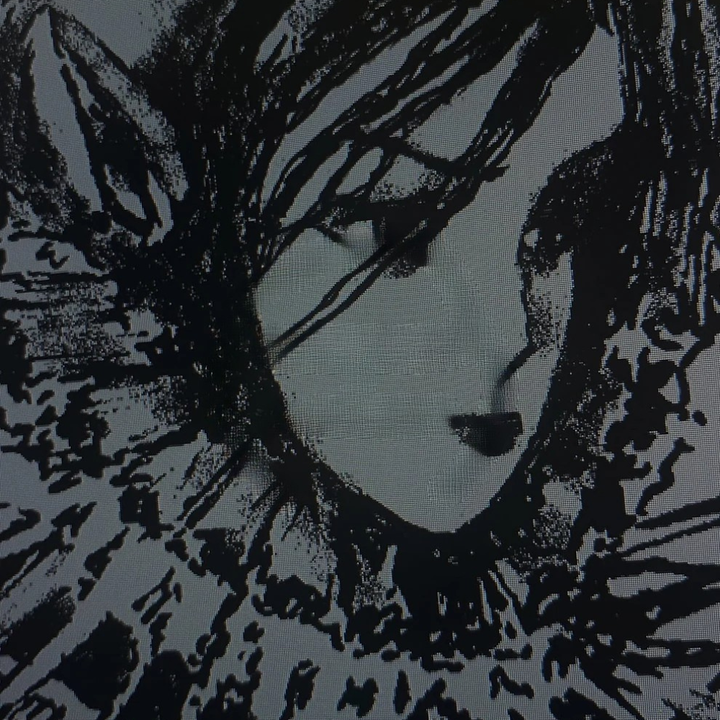 Graphic Hooded Jacket